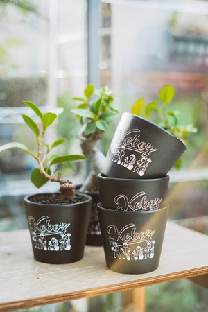 【新作】KEBOZ × 青坊主 コラボ PLASTIC POT