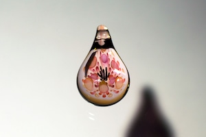 Flower Image / 田中福男