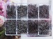 金具セット 8種 アクセサリーパーツセット 古美色 　ケース入り　