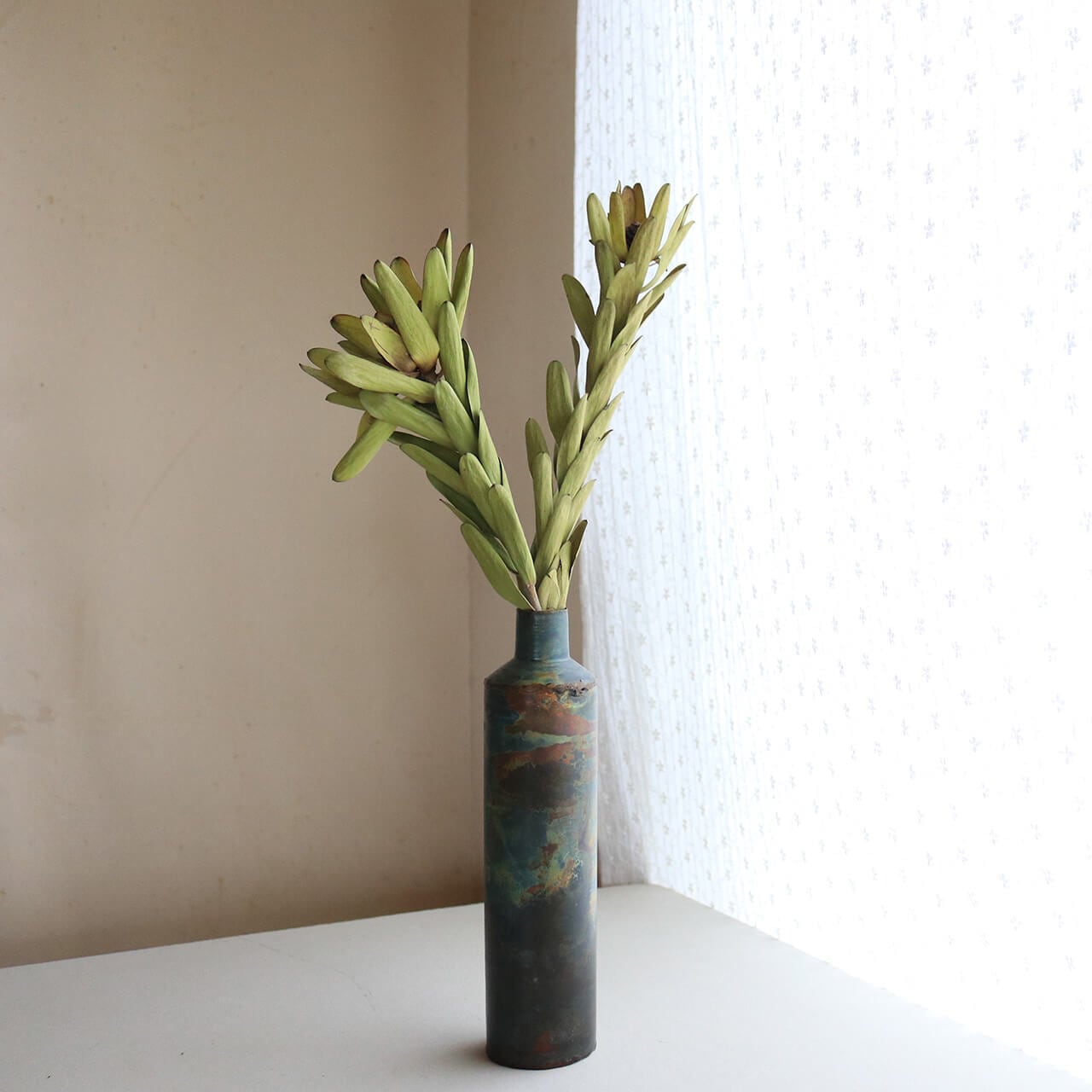 リューカデンドロン ロセッティ / ドライフラワー 花材 リース 手作り