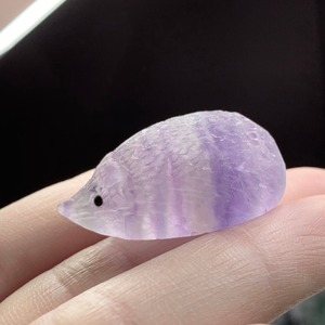 79双子ちゃんフローライトハリネズミさん