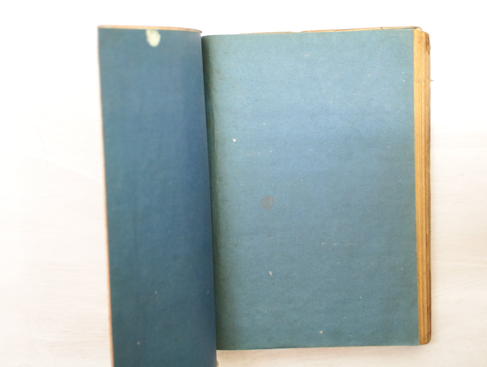 人間失格 初版 青見返本 / 太宰治 庫田てつ装 [33304] | 書肆田高