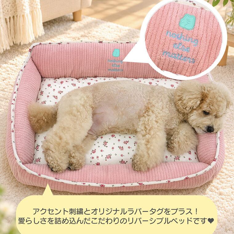 【予約販売10％OFF】jelly bear reversible bed Lsize 2color  / 犬用 ベッド リバーシブル 両面 ふんわり 冬 可愛い クッション ペットマット 猫用 韓国 ペット用品 小型犬 中型犬 ハウス 高級 犬 ペットベッド