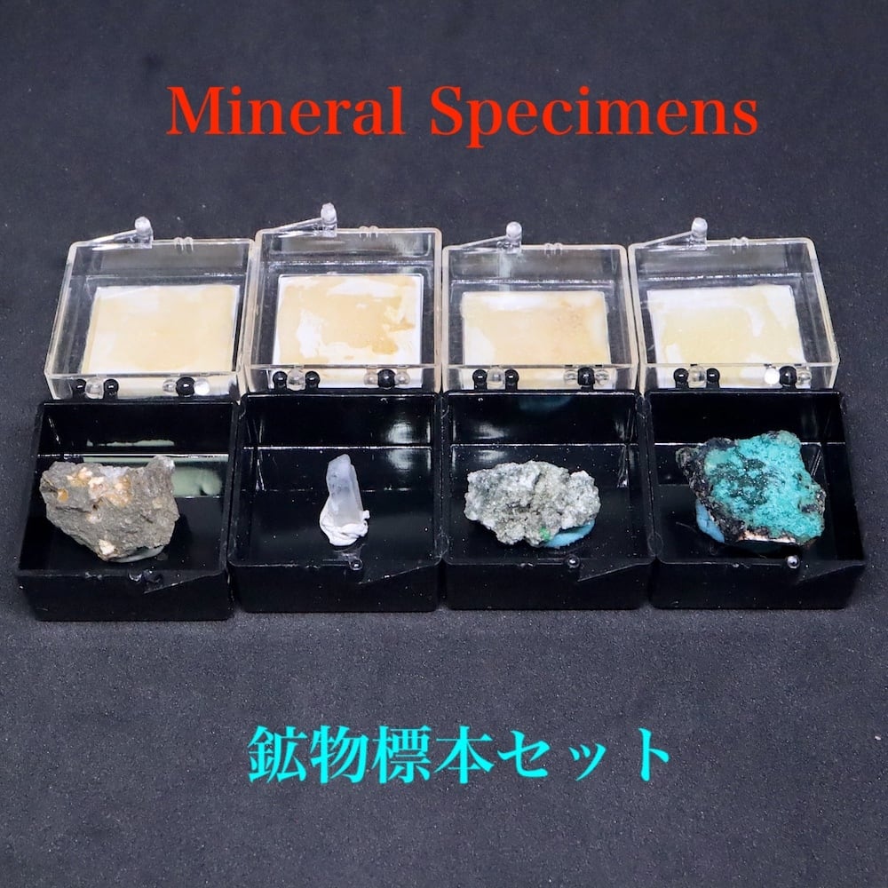 鉱物標本セット | 鉱物 天然石 American Minerals + Gemmy You
