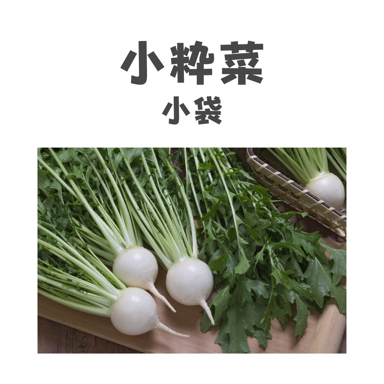 小粋菜 カブ種子・RF小袋