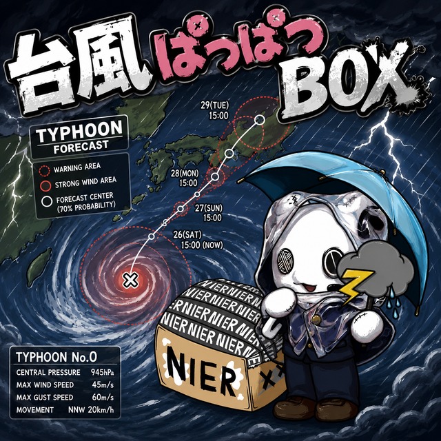 大特価TYPHOONぱつぱつBOX【お1人様1回限り】