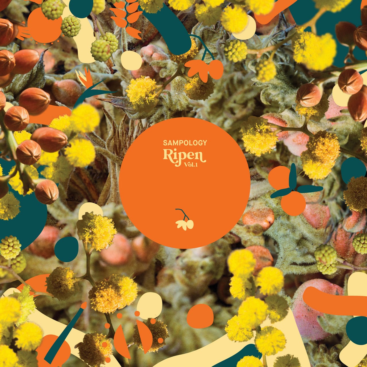 〈残り1点〉【12"】Sampology - Ripen Vol. 1