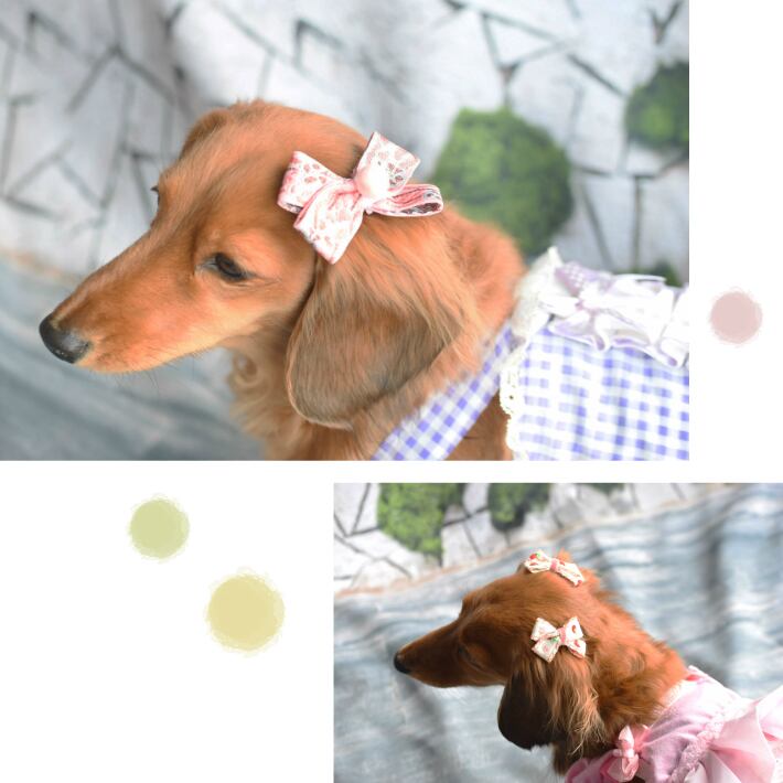 わんこコーム わんこリボン Skhgroup Co In わんこコーム わんこリボン Skhgroup Co In