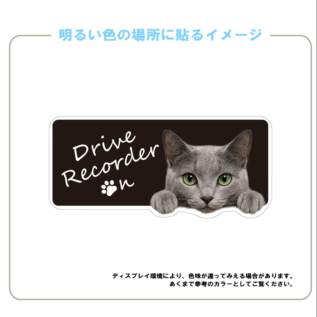 ロシアンブルー・猫・CAT・cat・ドライブレコーダー・ドラレコステッカー・撮影中・車・ステッカー・インクジェット印刷・横型・屋外用・猫好き・ドライブグッズ・監視しています・おもしろい・かわいい・肉球