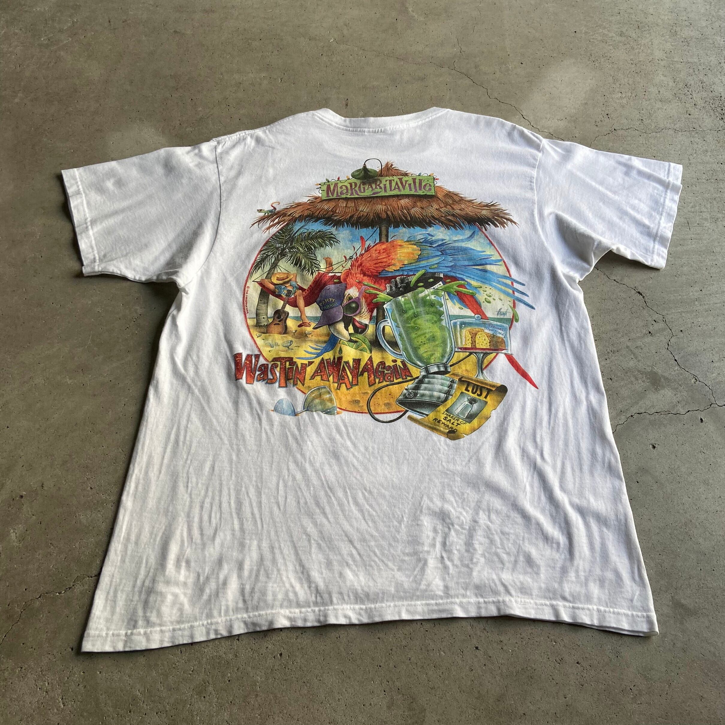 新入荷SALE対象外】90年代 USA製 Caribbean Soul トカゲ アニマル 