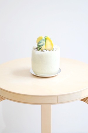 【S】アストロフィツム ヘキラン錦/Astrophytum