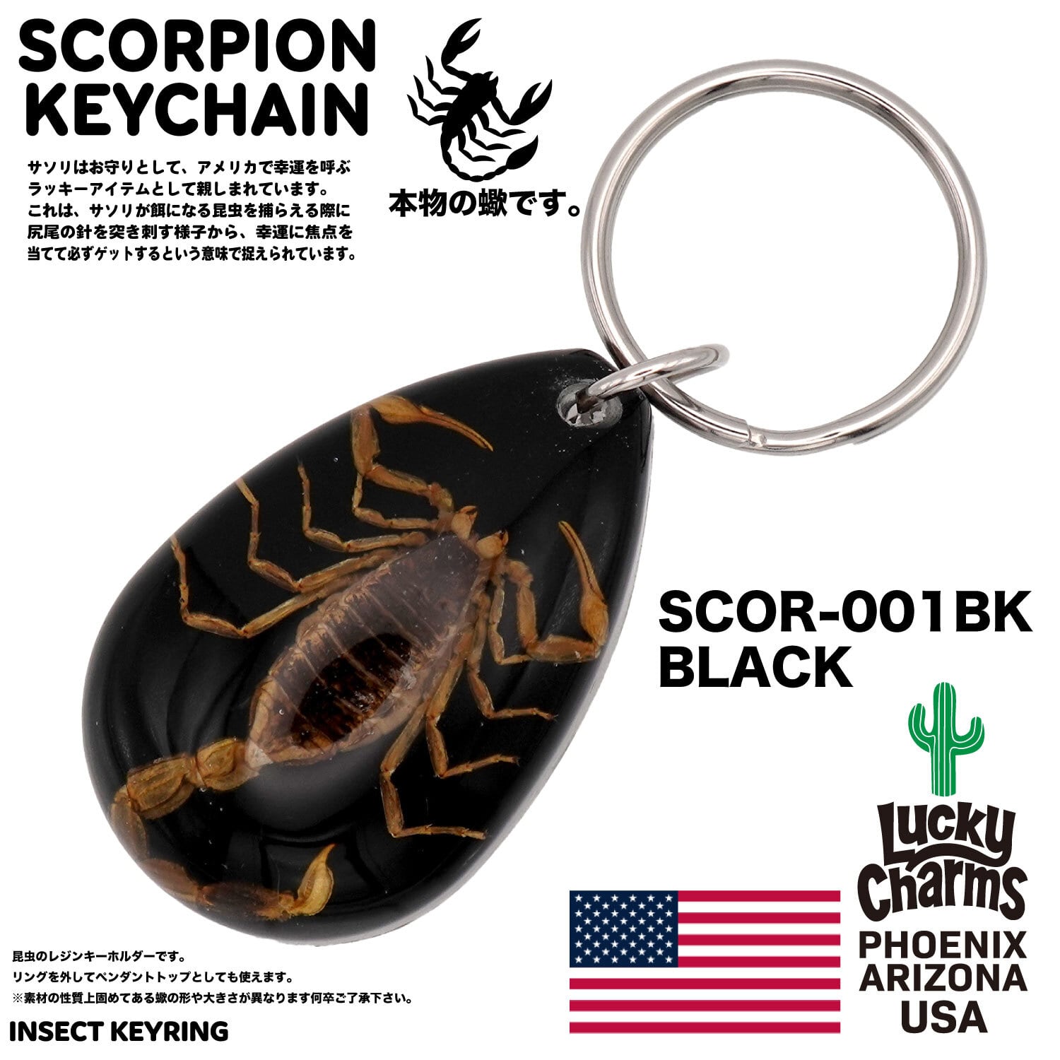 USA ARIZONA SCORPION DROP KEYCHAIN 蠍 サソリ スコーピオン お守り
