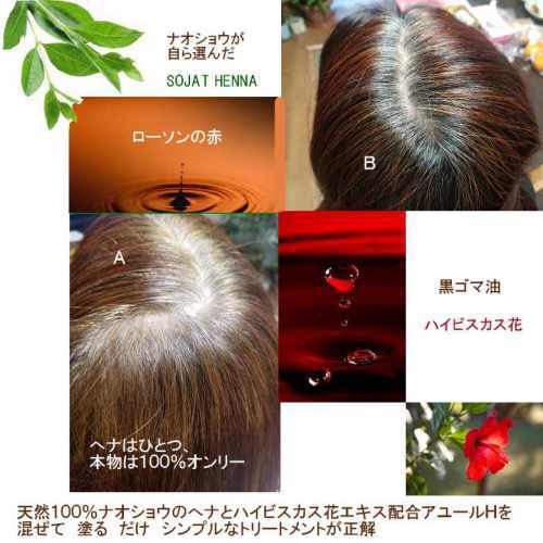 マクバール・ヘナ 2024年10月ソジャット産 100g | naosho~ハーブの