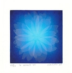 笠井正博 シルクスクリーン(シート)KASAI Masahiro"le cosmos'25"/silkscreen,sheet thumbnail 1