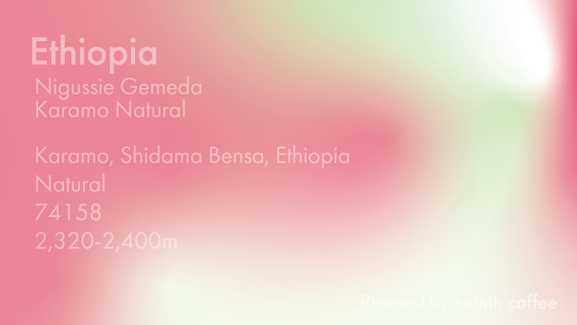 Ethiopia Niguse Gemeda Karamo, 74158 - Natural