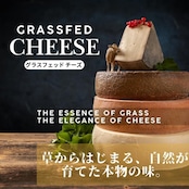 イタリア産 グラナ パダーノ 18ヶ月 熟成 グラスフェッド 切りたてチーズ 100g Freshly Cut Cheese GRANA PADANO Grassfed100g