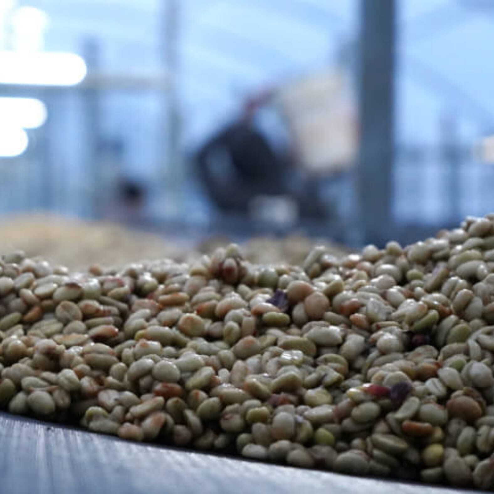 コロンビア サントゥアリオ農園 ゴールドウォシュド 中煎り 150g