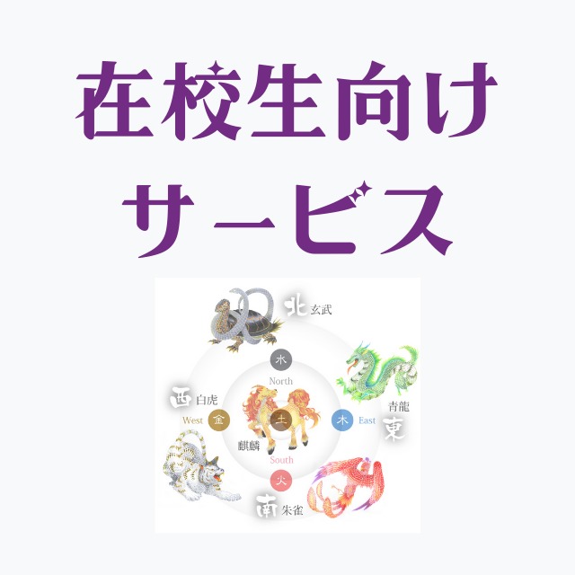 【＋送料】簡易診断書カラー　100枚入り（単品購入はこちら）