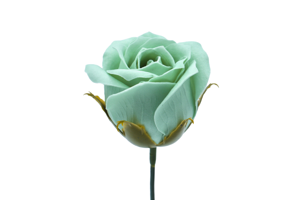 プリンセスバラS-BL4 ミントブルー (15輪入りor25輪入り)