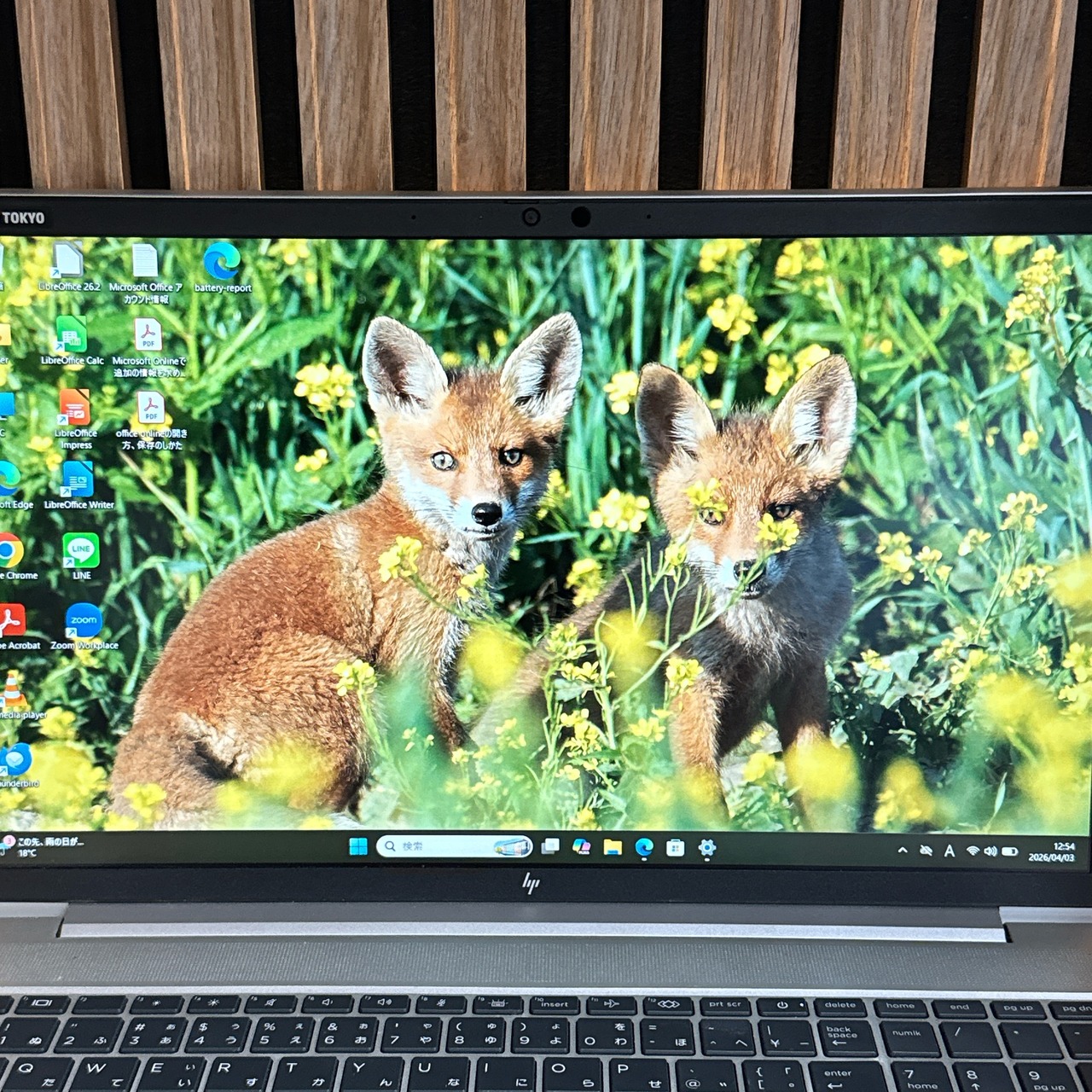『大容量2022年モデル』HP Probook 650 G9  メモリ16GB  SSD512GB  人気ノートパソコン