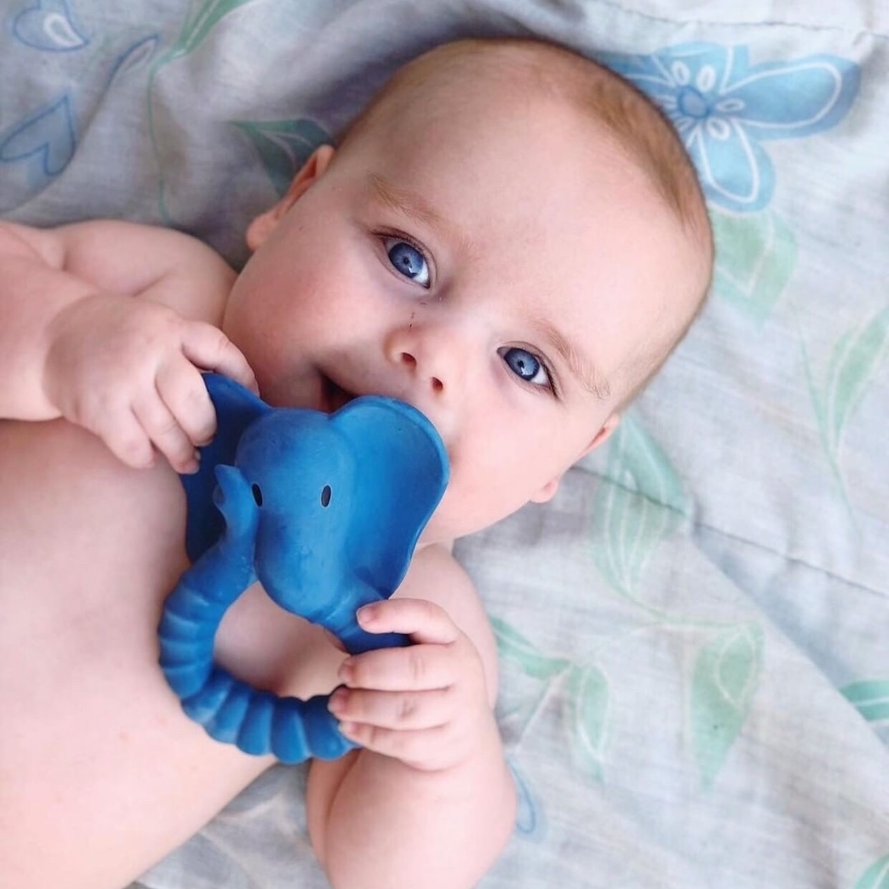 【即納】NATRUBA / TEETHER ELEPHANT
