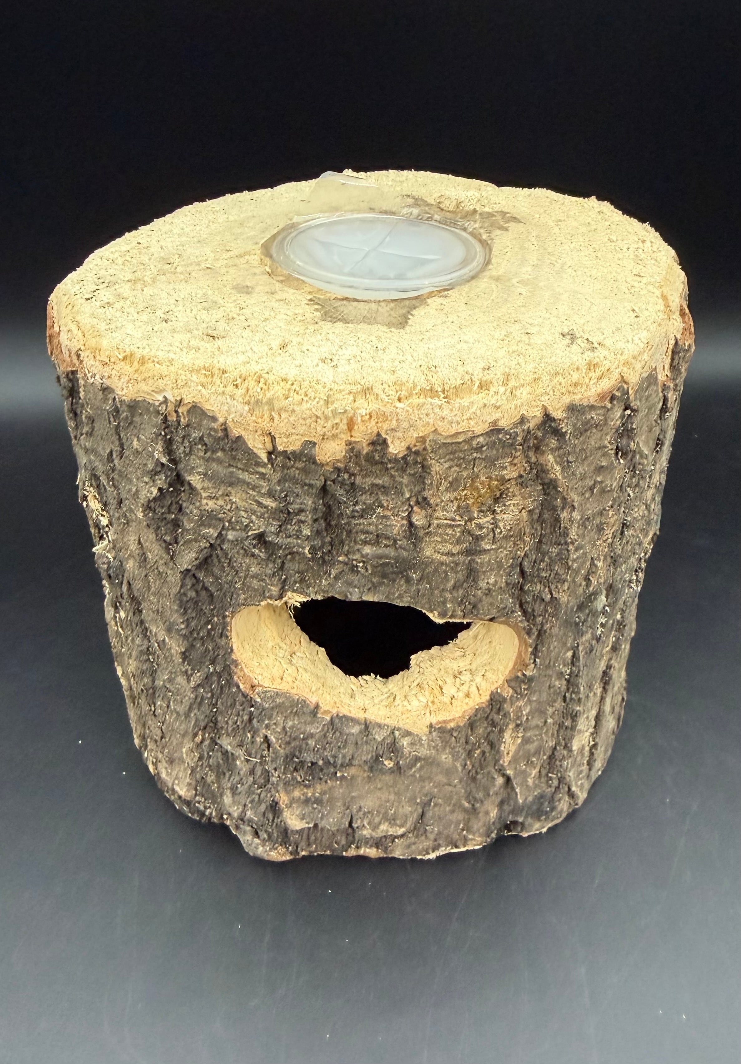 ゼリー穴付き原木シェルター クワガタのお部屋（クワ部屋） | KPW公式