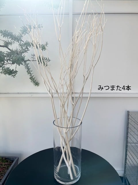 松切り枝 12Vコードレス電動高枝切りばさみ LX AFP1-JP | YARD FORCE JP