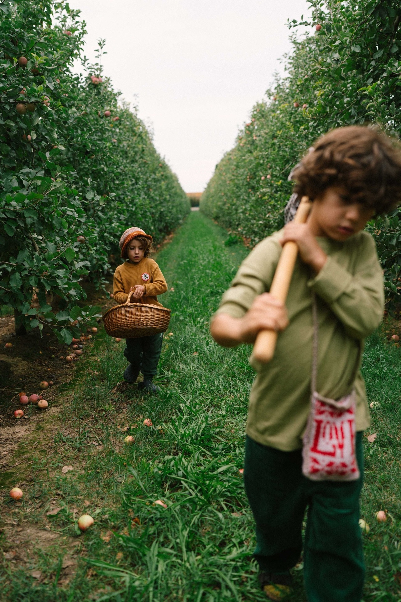 GRAPAT　ミニ・フルーツ　まもなく入荷