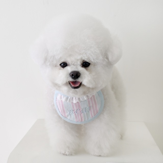 【予約】[near by us] my name dog bib(cotton candy）