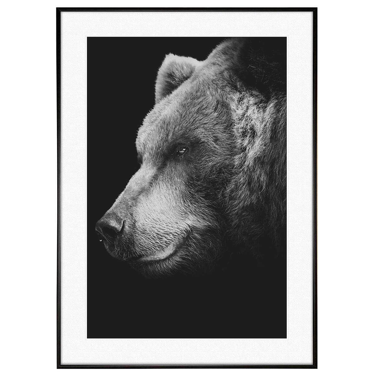 ed924fc8484e1670c1224c16f8d8ca