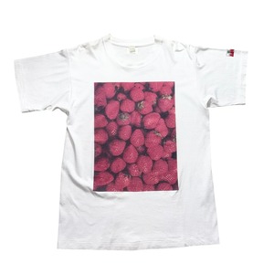 vintage 1990’s LAST ORGY 2 strawberry tee