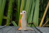 ミーアキャット