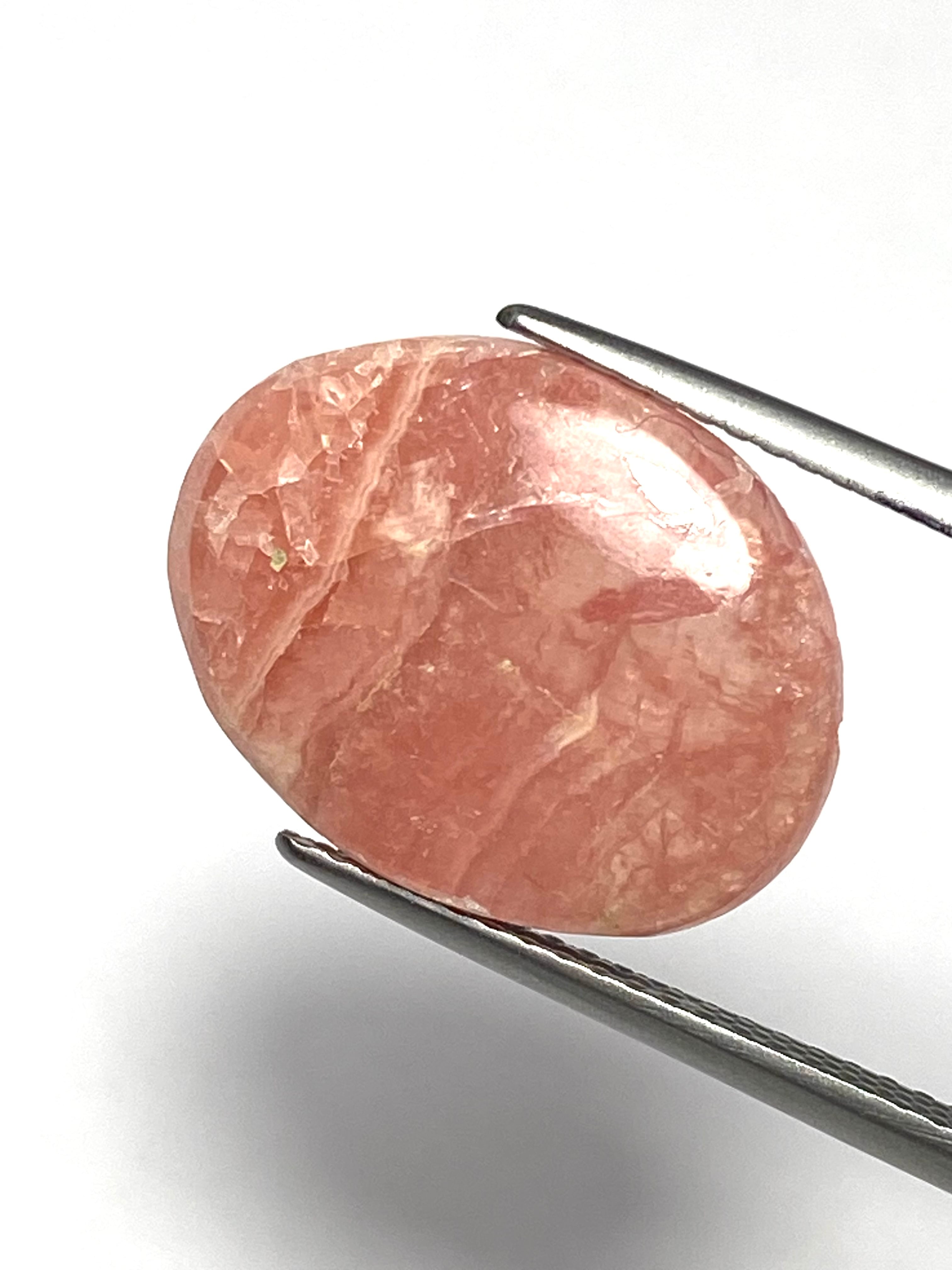 10.【￥2500均一】インカローズ［No.HA-3245］ | デザインアトリエ