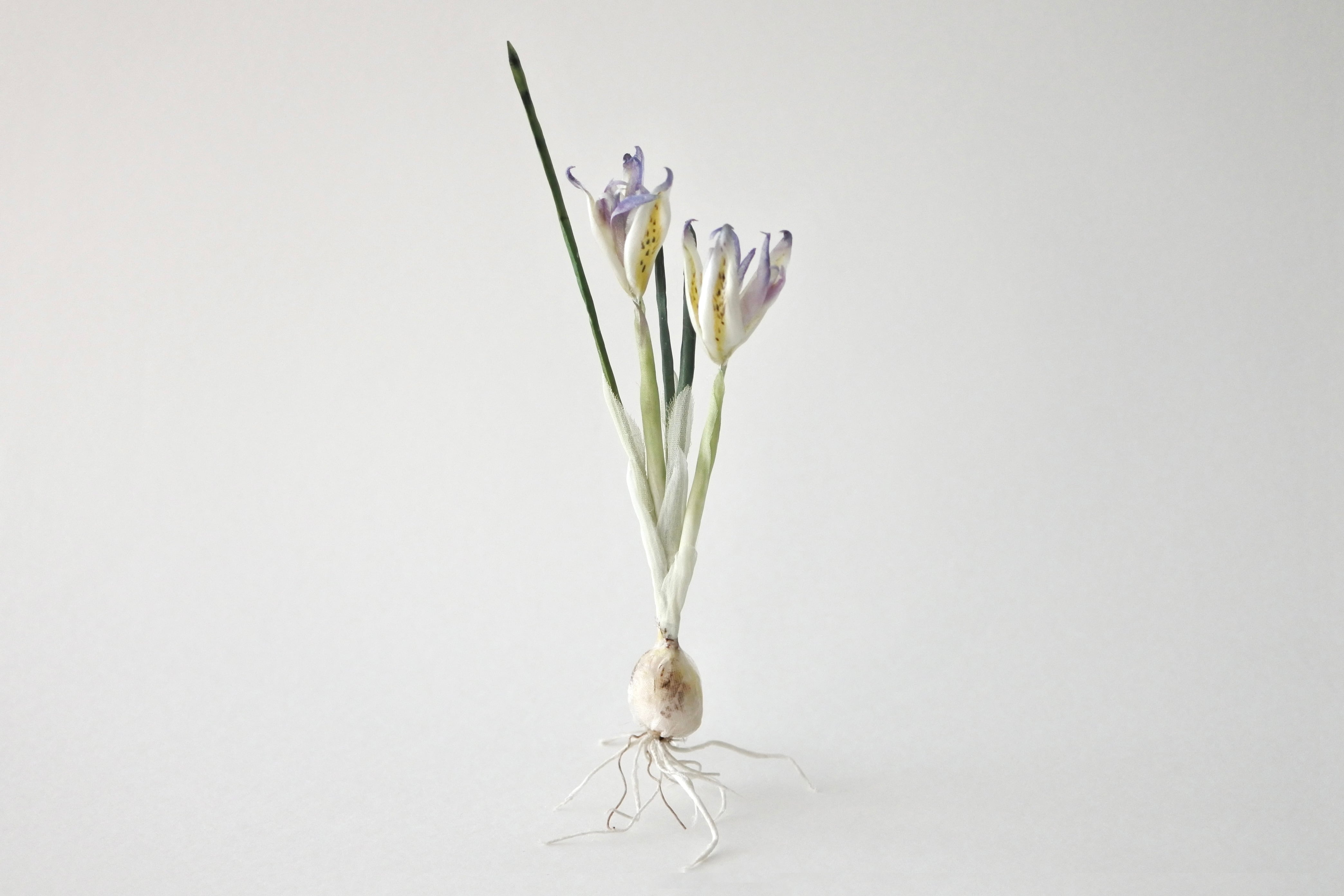 vintage ARABIA vase PW / ヴィンテージ ARABIA フラワーベース | cotory