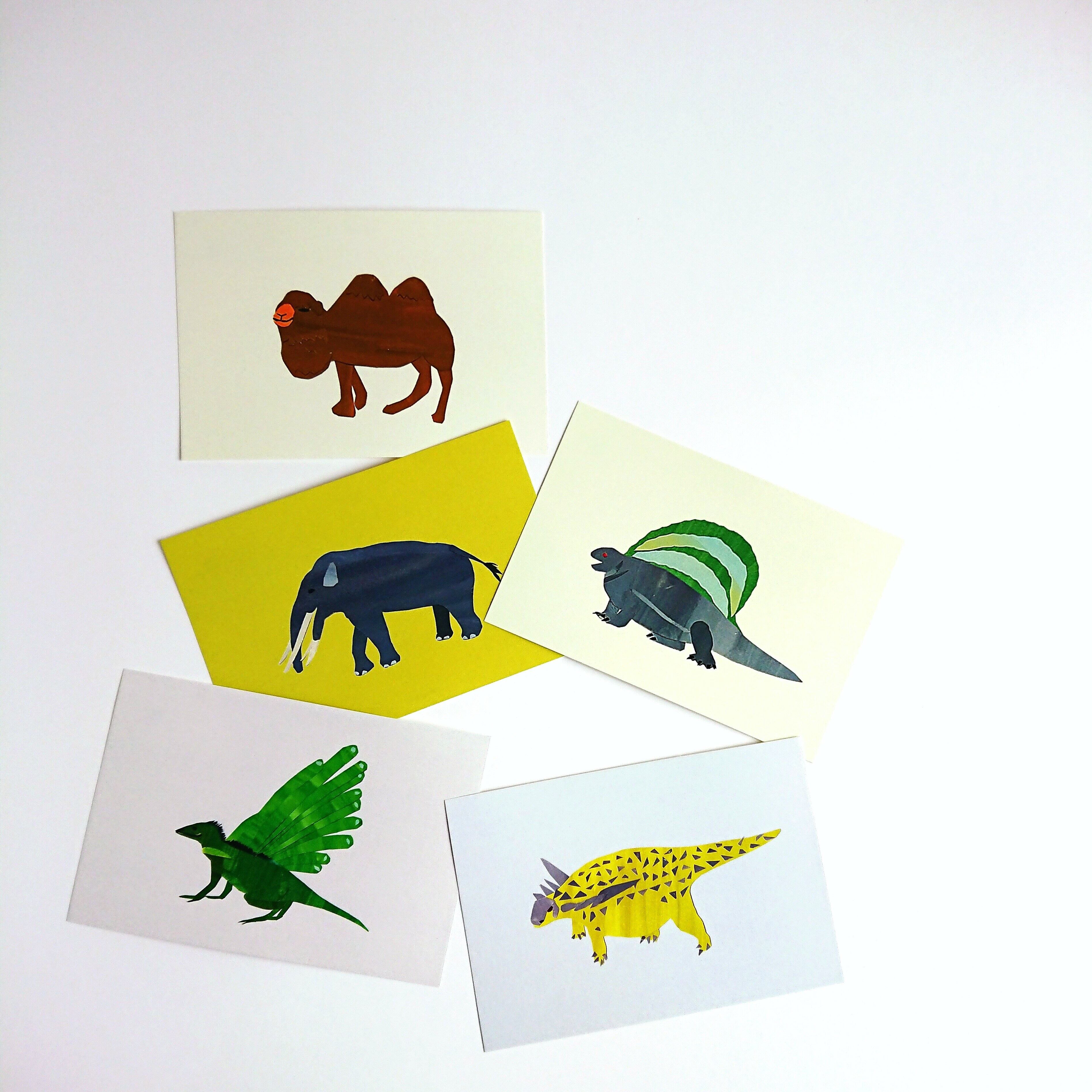 ポストカード 動物 ５枚セット 黒紅堂