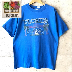 【DF26】 Tシャツ フロリダ イルカ サンシャインステイツ ブルー