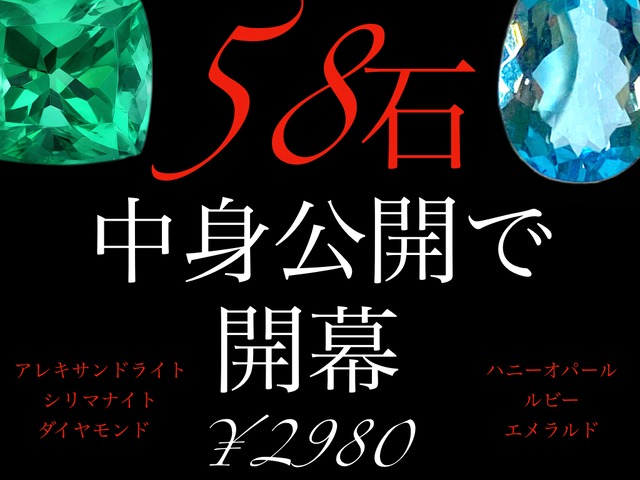 仕入れたばかりの宝石達 58石企画［No.D-489］