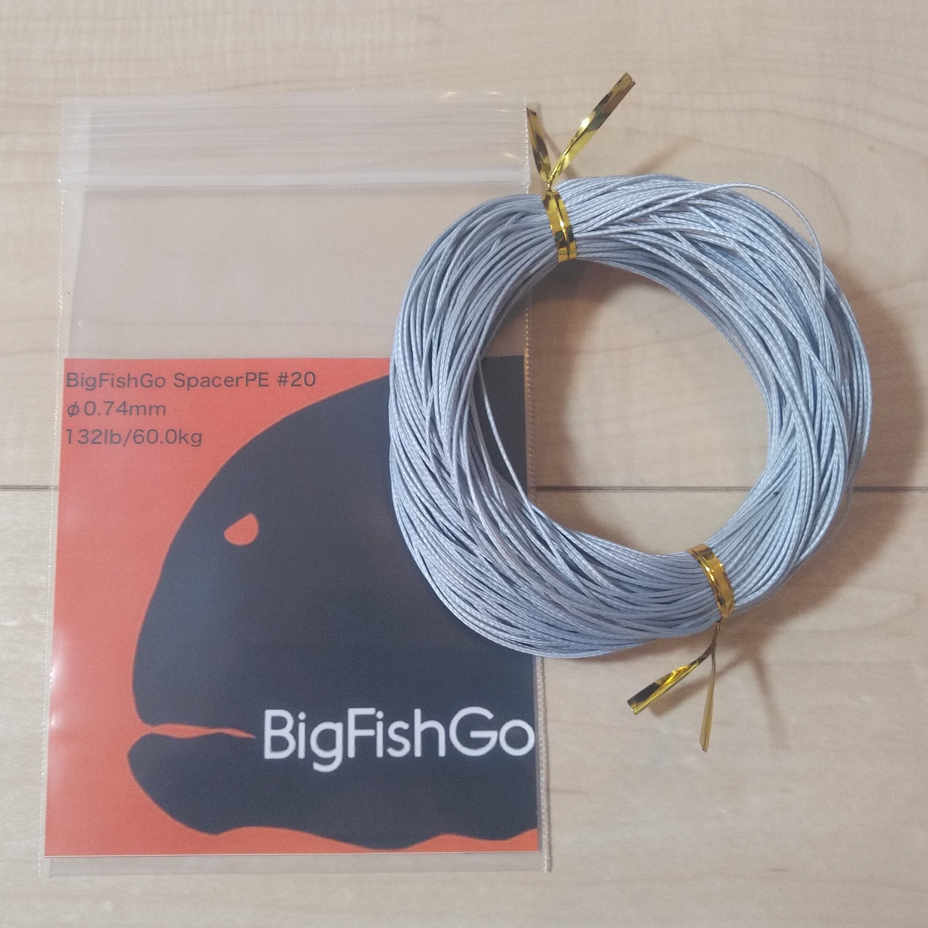 BigFishGo Explore Shore-GT Proto5 ブランク-