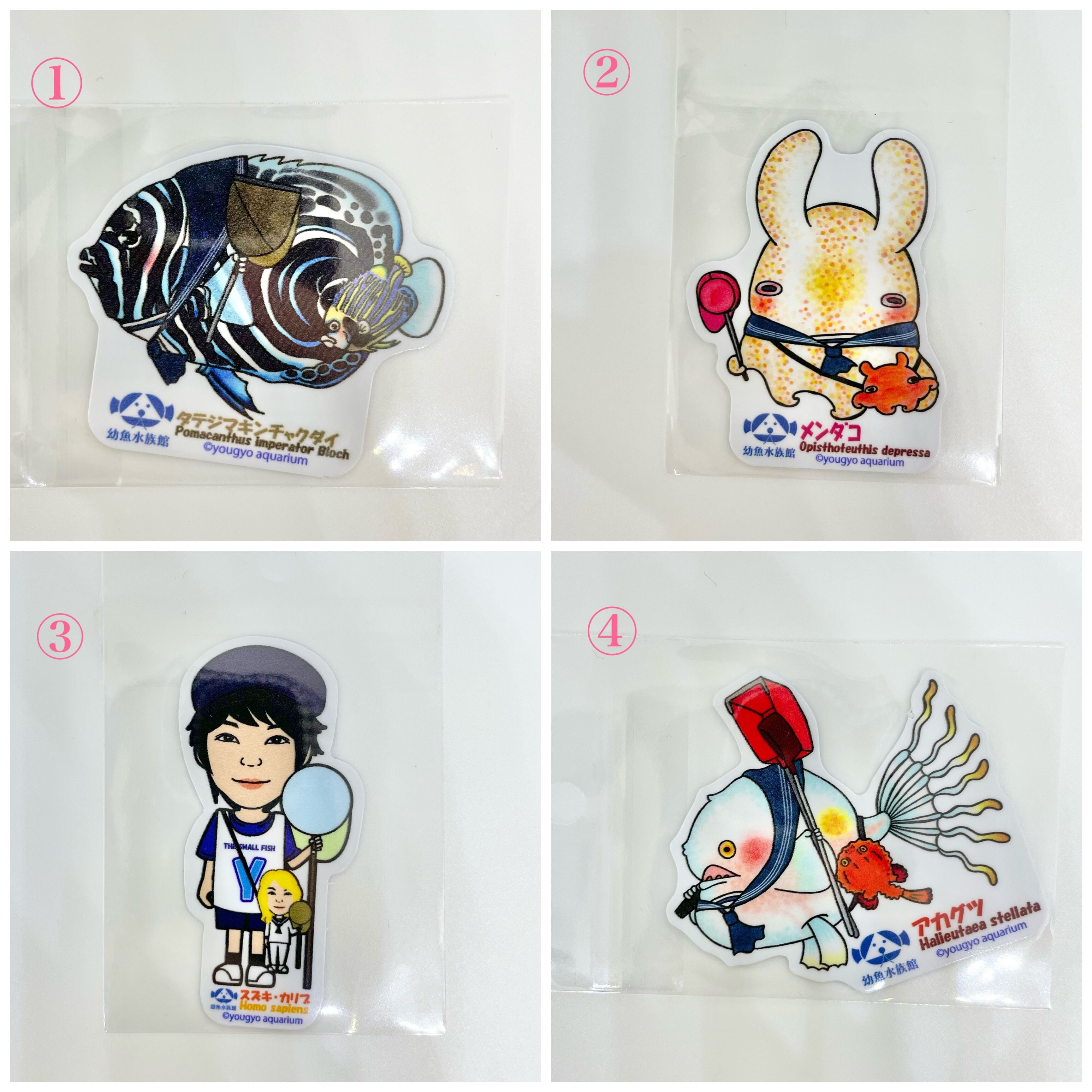 柳葉魚グッズ 防水バッグ | ST DAVE KEYCHAIN FISHING（ST デイブ キーチェーン