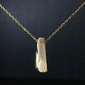 エスケル隕石HG Esquel Meteorite 23051221 | Pay ID
