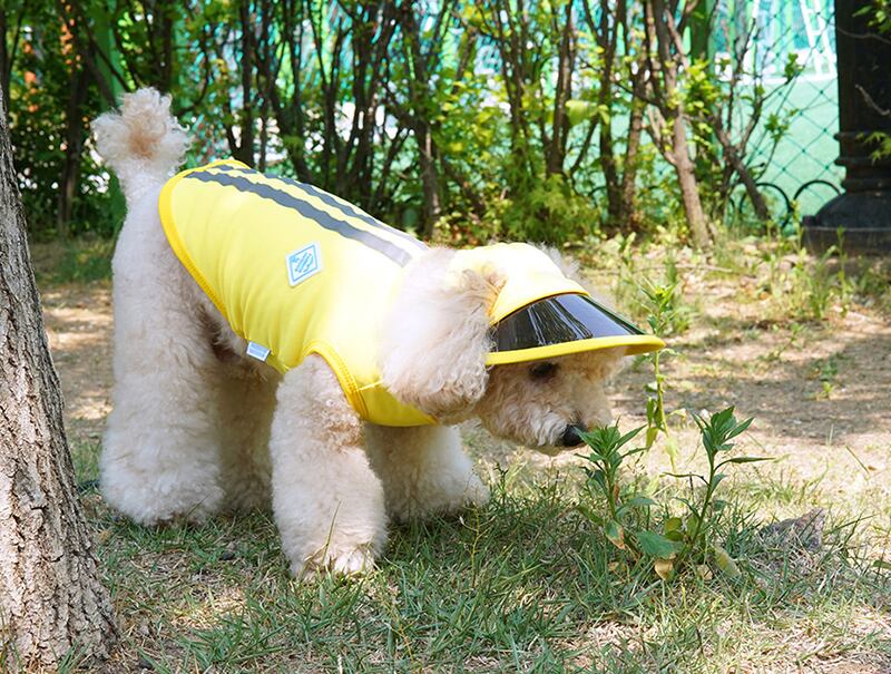 【SALE】 cool sun cap set S ~ 2XL 3color / 犬服 夏 新作 冷感 トップス タンクトップ 可愛い 犬の服 ドッグウェア  サンバイザー 暑さ対策 ワンコ服 UV対策 小型犬 中型犬 猫 top135