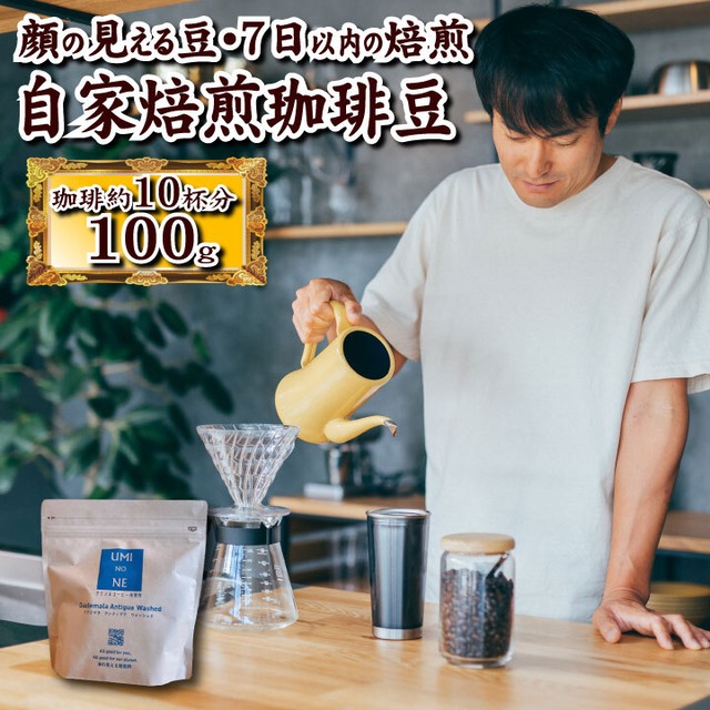 顔の見えるスペシャルティ―コーヒー100ｇ グアテマラ アンティグア ウォッシュド