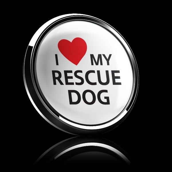 ゴーバッジ(ドーム)(CD1077 - I LOVE RESCUE DOG) - 画像4