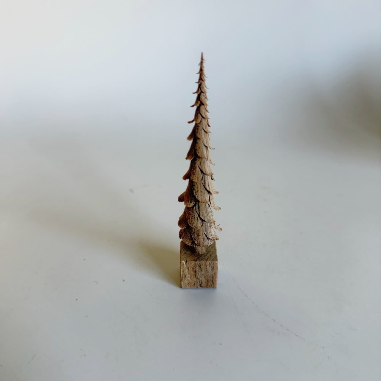 cogu no mori 2025-2026【trim】A