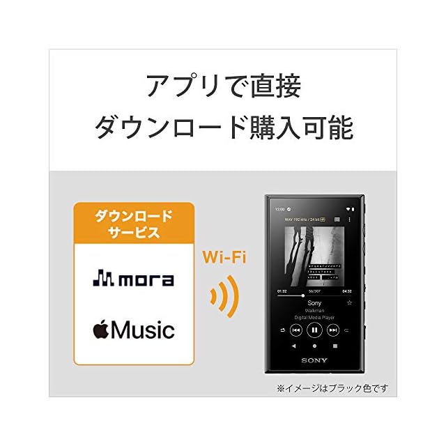ソニー ウォークマン 64GB Aシリーズ NW-A107 : ハイレゾ対応 / MP3