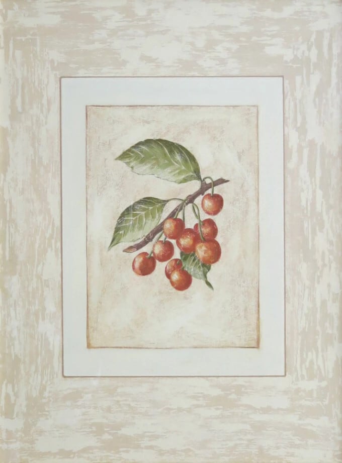 ボタニカルアートポスター サクランボ | artsstation