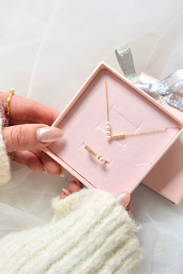 【20時再販】〈 Holiday Set 〉B