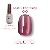 pomme mag 06