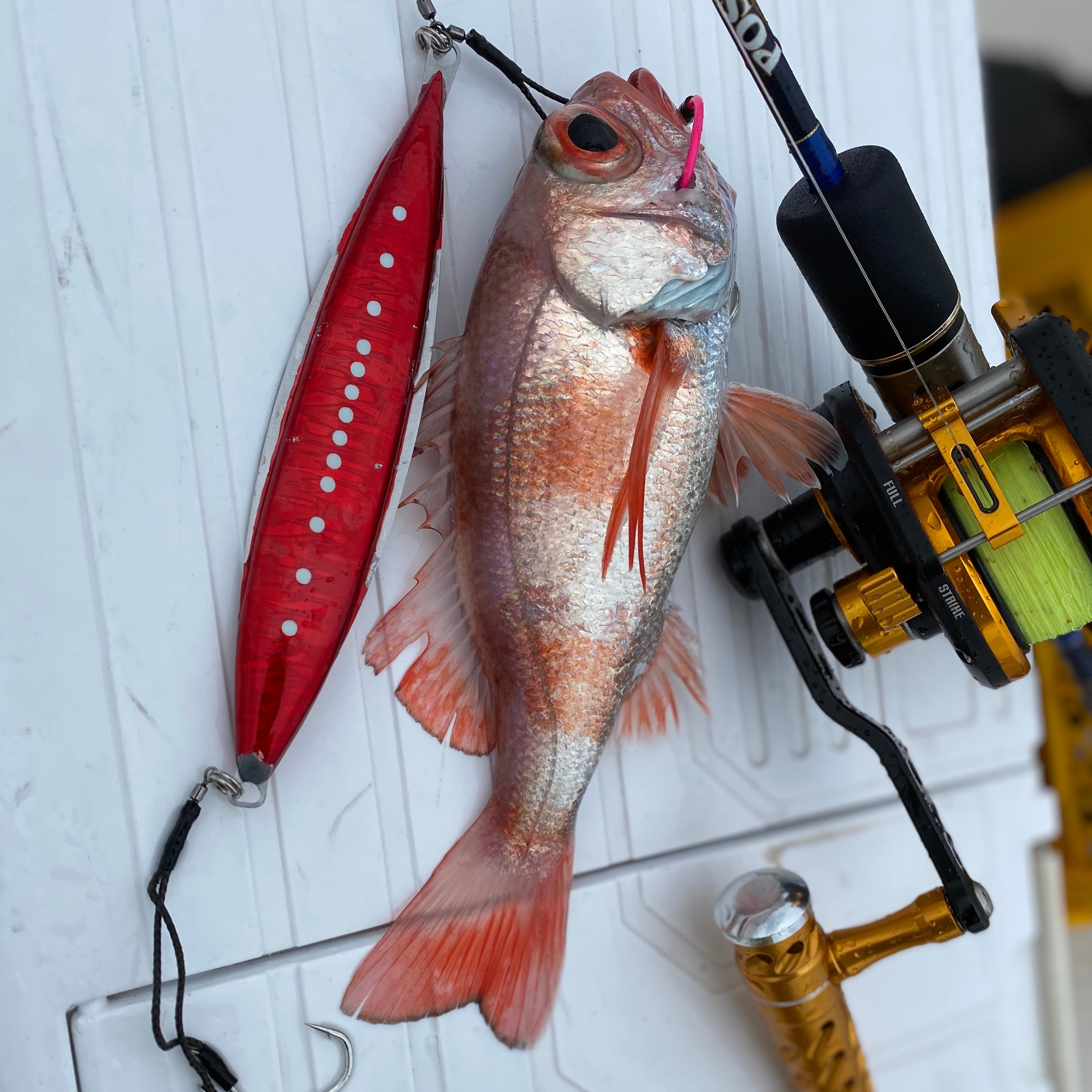 P.J.RIDE 300g REALS ジグ 近海 中深海 マグロジギング 遠征 スロージギング専用 P.J.RIDE 300g REALS ジグ 近海 中深海 マグロジギング 遠征 スロージギング専用