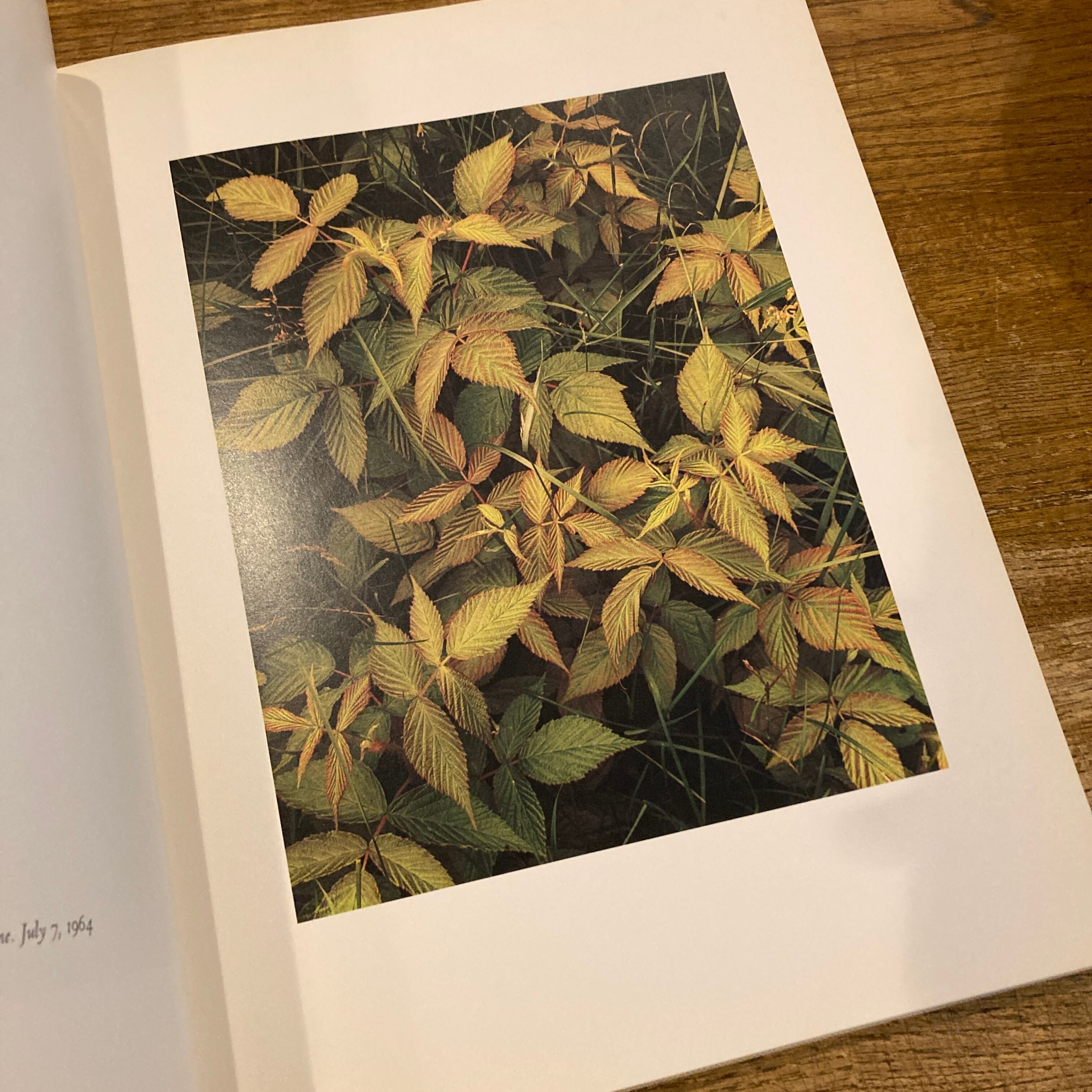 ELIOT PORTER 写真集　英語 7eeb9156bb5c70e899cece95750093